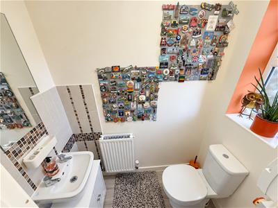 Picture 7